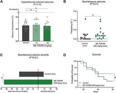 The Heat Sensing Trpv1 Receptor Is Not a Viable <mark class="highlighted">Anticonvulsant</mark> Drug Target in the Scn1a+/− Mouse Model of Dravet Syndrome